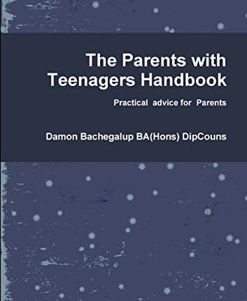 Damon's book for families with teenagers