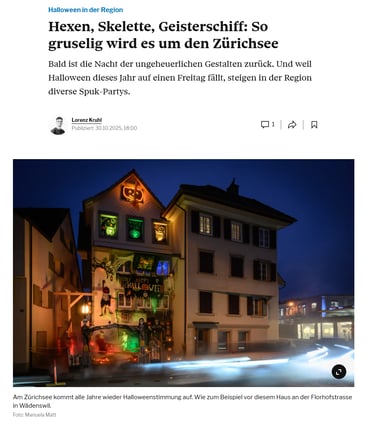 Artikel im Tagesanzeiger Online 2025