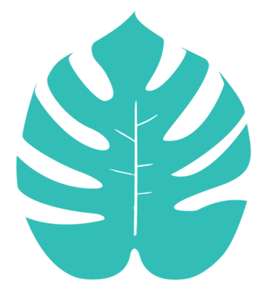 Monstera leaf