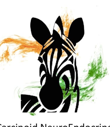 zebra logo for cnets india