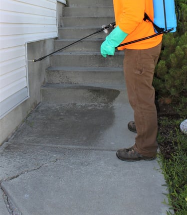 how to keep bugs out of house