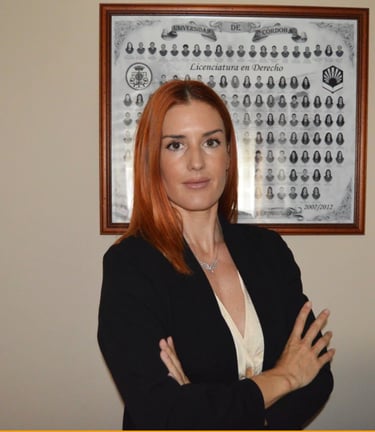 Immigration lawyer Spain for visa