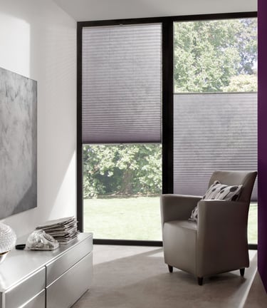 Sitting Room Pleated and Honeycomb Blinds