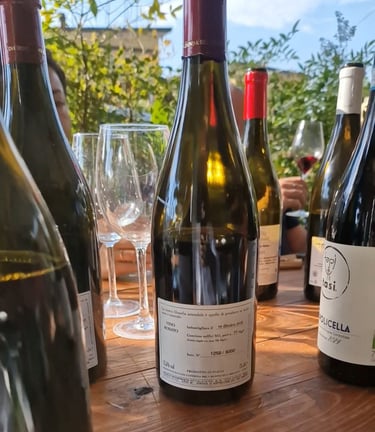 Selezione bottiglie di vino biologico biodinamico per enoteca e ristorante. Vino di nicchia