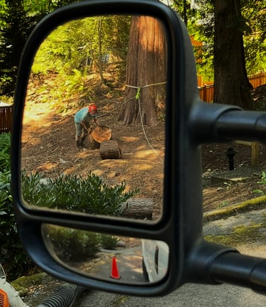 A crew member is hauling away material after a tree removal in Woodinville, Washington