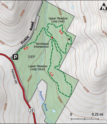 Palmer Hill Trail