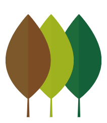 land_culture_tress_transformation
