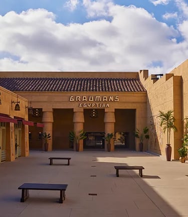 Netflix Egyptian Theatre Hollywood Movie