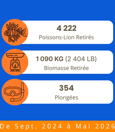 Statistiques de terrain TTT sur les prélèvements de poissons-lions, la biomasse et les plongées