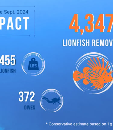 TTT lionfish management impact summary