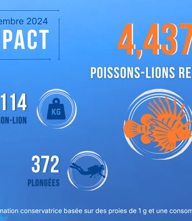 Résumé de l'impact des actions de TTT