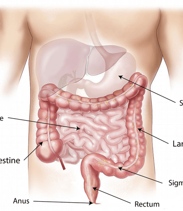 Digestive disorders ayurveda treatment