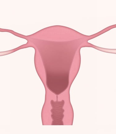 Gynaecology Ayurveda Treatment