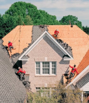 Wilson NC Lawn Care Services | Rubio's Lawn Care & Landscaping