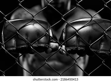 MMA Saint maur