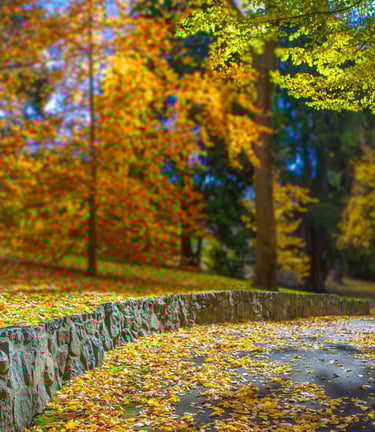 Neue Wege im Herbst, Hypnoseabende Innsbruck Martina Hofer
