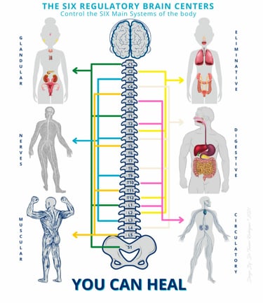 Vetrivel Health center best chiropractic and varamam theraphy 