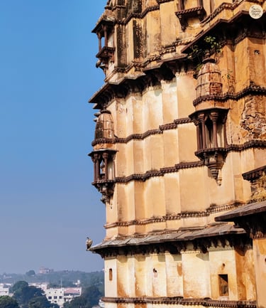 A vulture rests atop the temple spire - Orchha's silent guardian.
