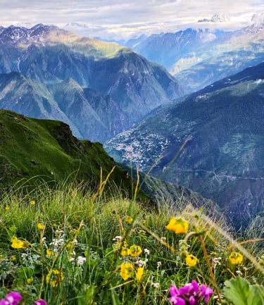 Mountain valley view with wildflowers in the foreground and distant sunlit ridge