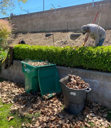 Bushing trimming and leaf cleanup