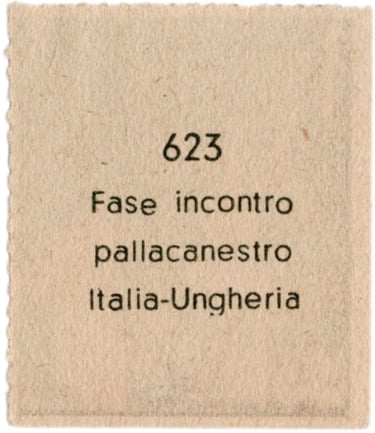 Pallacanestro Albosport Editrice Didasco Italia-Ungheria