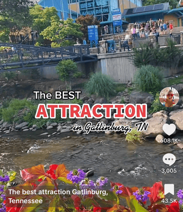 TikTok metrics screenshot showing short-form video content growth for Ripley’s Aquarium