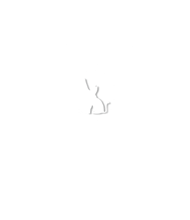 Digital Cat
