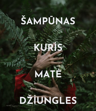hidrolatas odos plauku sampunas sausas naturalus aliejus plaukai spf skin kosmetika naturali