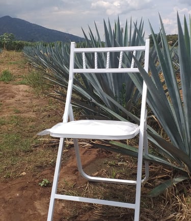 Silla Plegable Tiffany Venta de Mobiliario para Eventos Fiestas del Sol Mobiliario www.sillasymesasf