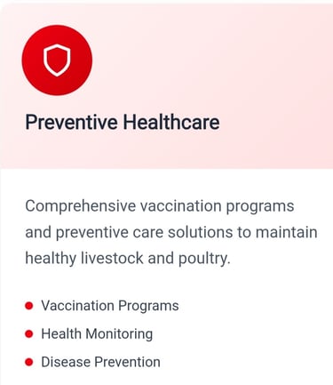 Noors Pharmaceutical Poultry Medicines for Broiler Layer chicken best Veterinary Nutraceutical