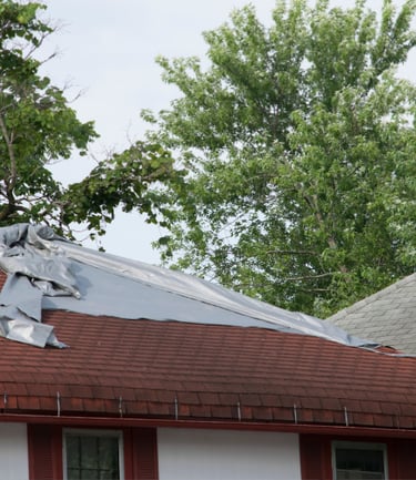 Unrepaired roof with water damage.