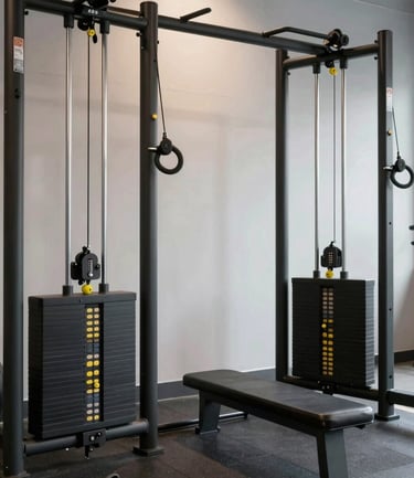 Bright, modern cardio machines lined up in a spacious gym with natural light.