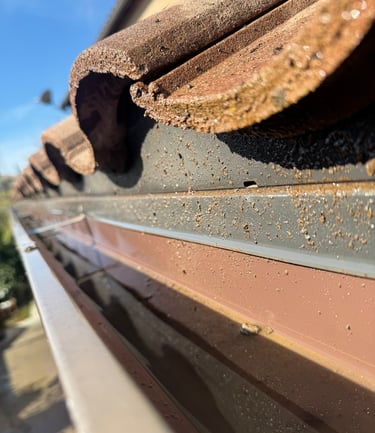 Clean residential gutter after professional gutter cleaning in Fresno CA by Spartan Home Services