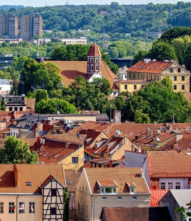 Vilijampolės namų įvairovė