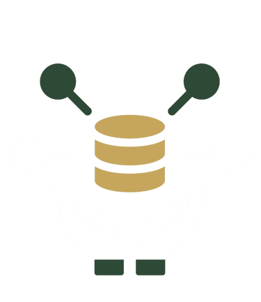 Data architecture, analysis and engineering
