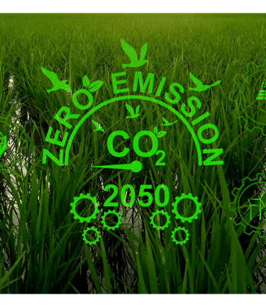 Cero emisión CO2
