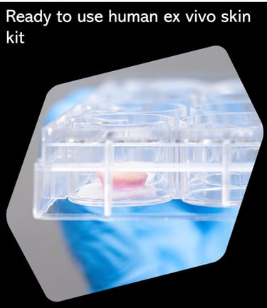 CTIBIOTECH biobank biosourcing skin ex vivo kits