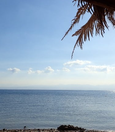 Sea view through palm leaves at Bedouin Star beach camp in Nuweiba, Ras Shitan.
