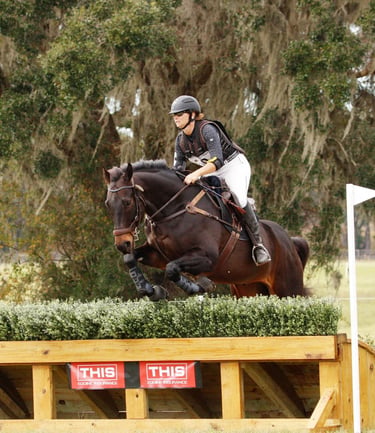 Bay horse jumping a brush top cross country