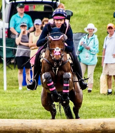 Eventing cross country horse jumping into the water