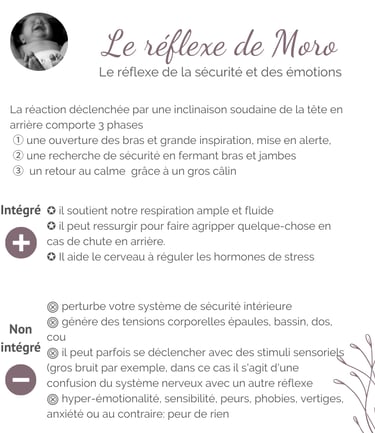 Fiche le réflexe de Moro en détail: les 3 phases, rôle régul hormones de stress, sécurité intérieure