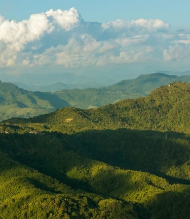 Khawnglung Wildlife Sanctury