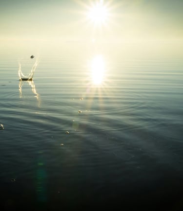 The Energy Alignment Journey, energy healing