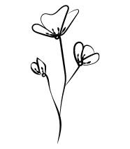 Sophrologie Caycédienne, techniques de relaxation et bien être