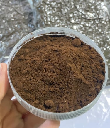vanilla powder on bowl