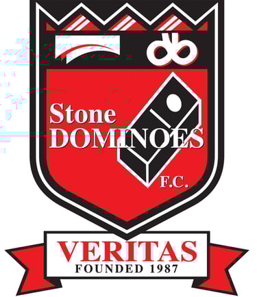 a logo for a soccer team with a shield and a shield
