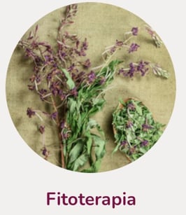 fitoterapia