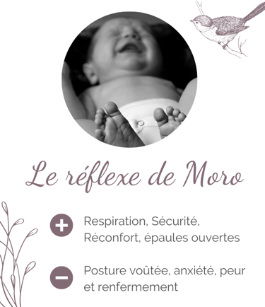Fiche réflexe de Moro + Sécurité, respiration, - anxiété peurs hypersensibilité
