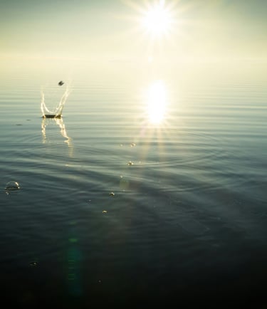 The Energy Alignment Journey, energy healing