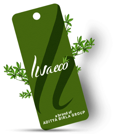 Logo of Livaeco
